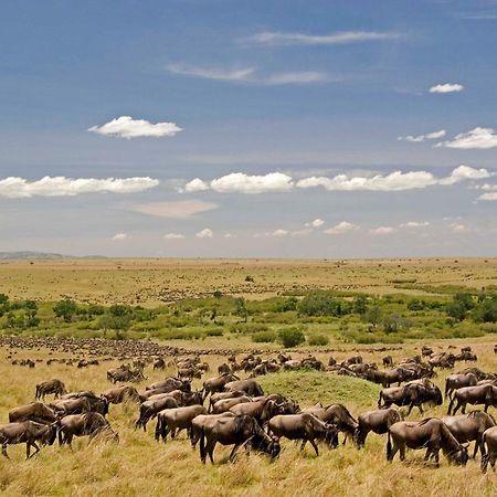 Mara Intrepids Tented Camp Talek Exterior photo