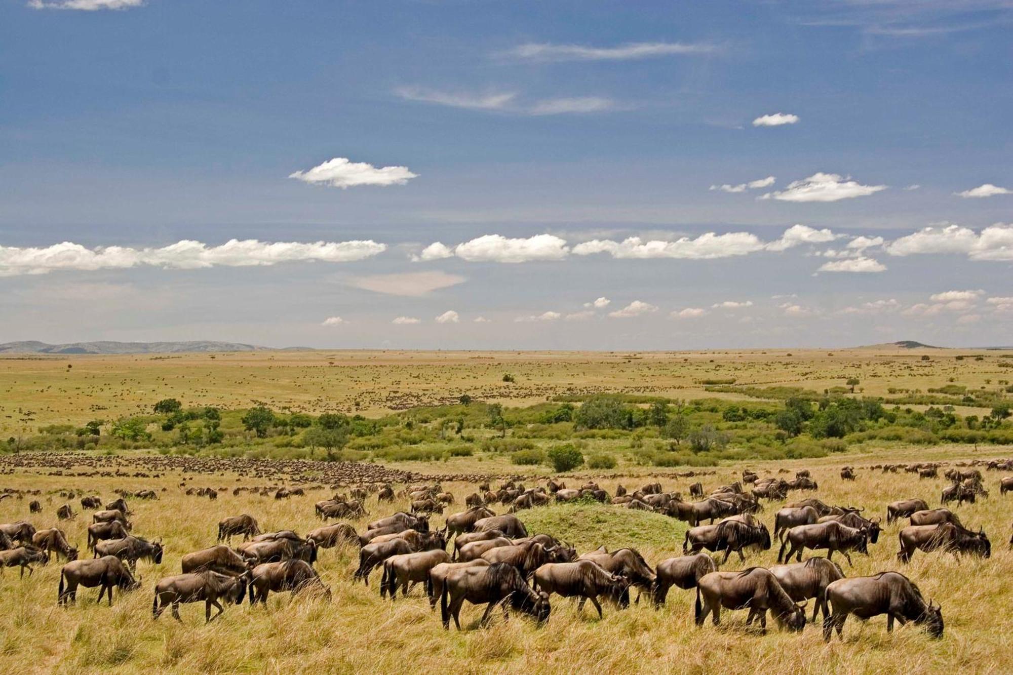 Mara Intrepids Tented Camp Talek Exterior photo